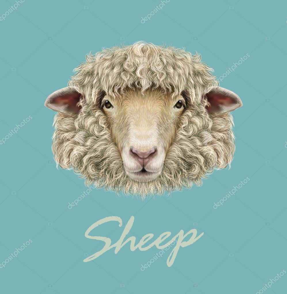Borregos imágenes de stock de arte vectorial | Depositphotos Borregos imágenes de stock de arte vectorial | Depositphotos
