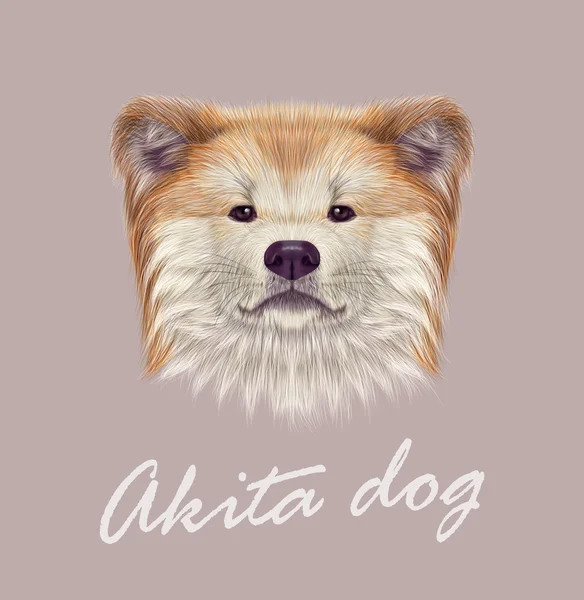 Akita inu Japanse hond. — Stockvector