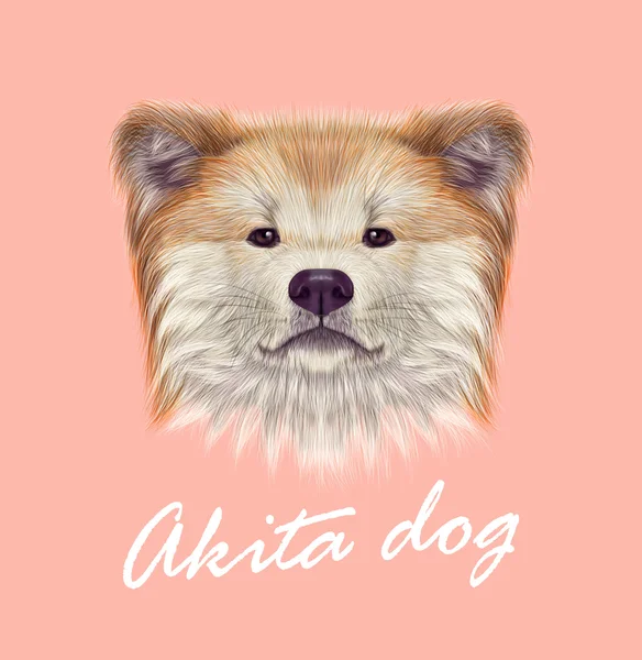 Akita Inu สุนัขญี่ปุ่น . — ภาพเวกเตอร์สต็อก