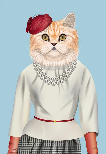 Chat fille habillé en tenue élégante . — Image vectorielle