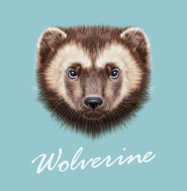 Download Wolverine Animal Free Vector Eps Cdr Ai Svg Vector Illustration Graphic Art