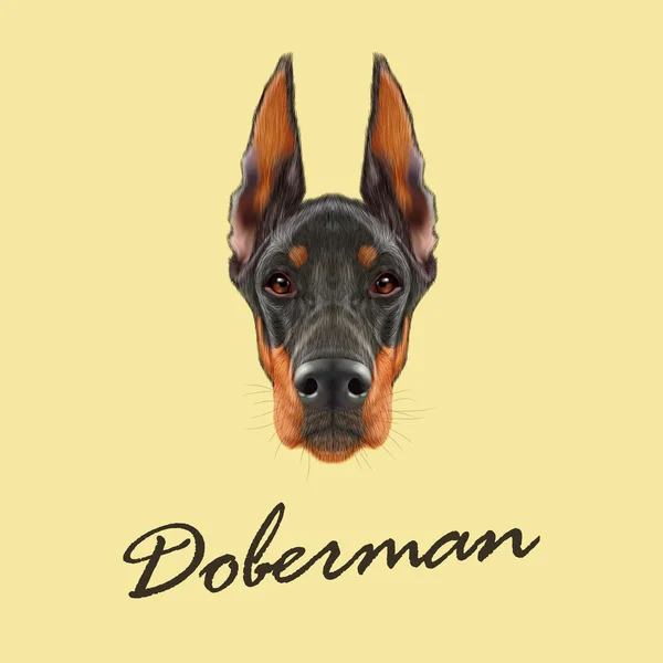 Doberman pinscher hund — Stock vektor