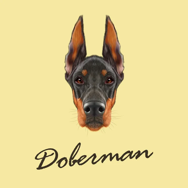 Doberman Pinscher chien — Image vectorielle