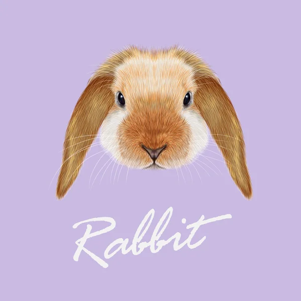 토끼 동물 초상화 — 스톡 벡터