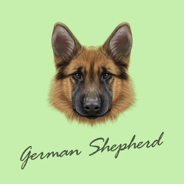 Chien berger allemand — Image vectorielle