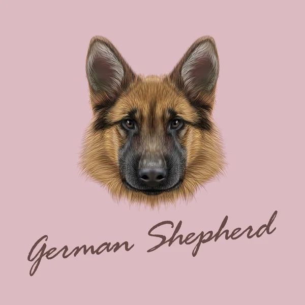 German Shepherd Dog — Stock Vector