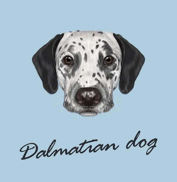 Dalmatiner hund porträtt — Stock vektor