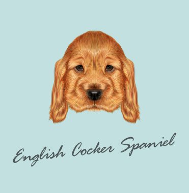 Kırmızı köpek portre