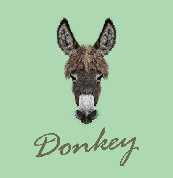 Farm Donkey porträtt — Stock vektor