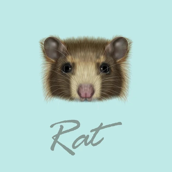 Domestic Rat portrait — Stock Vector
