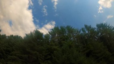 Appalachian dağlarındaki çam ağaçlarının üzerinden geçen bir yaz günü bulutu. Bu New York 'un Hudson Vadisi' ndeki Catskills alt menzilinde..