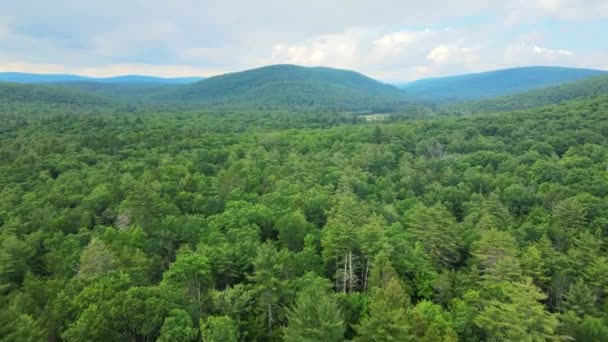 Luftdrohnen Videoaufnahmen Der Sommerzeit Den Catskill Mountains New Yorker Hudson — Stockvideo