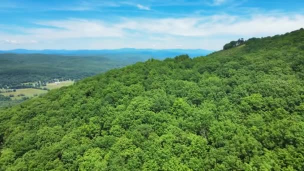 Aerial Drone Footage Summer Time Catskill Mountains New Yorks Hudson — Video Stock