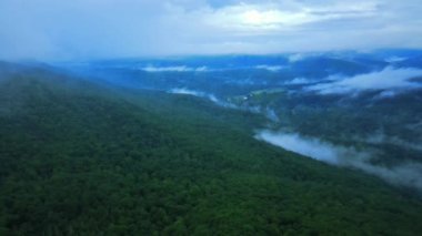 Bir yaz akşamı Appalachian dağları üzerinde alçak bulutların hava aracı görüntüleri. Burası New York 'un Hudson Vadisi, Shawangunk Ridge' de, Appalachians 'ın bir alt menzili..