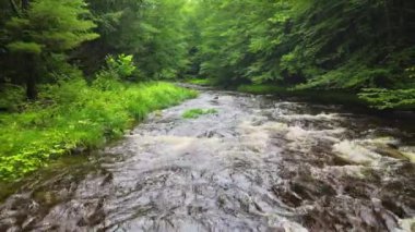 Bir günlük yağmurdan sonra Catskill dağlarındaki alabalık avlama deresinin insansız hava aracı görüntüleri. Catskills, New York Hudson Vadisi 'nde yer almaktadır ve daha büyük Appalachian Dağları' nın bir parçasıdır.