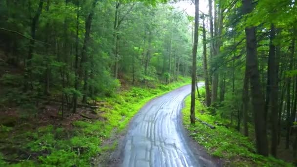 Nagranie Wideo Dronów Odległej Leśnej Drogi Appalachach Jest Nowojorskiej Hudson — Wideo stockowe