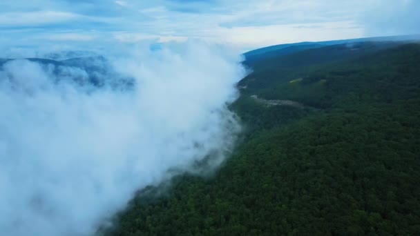 夏の間 アパラチア山脈の風光明媚な高速道路の空中ドローンビデオ映像 これは ニューヨークのハドソン渓谷のアパラチア山脈の一部であるShawangunk山脈にあります — ストック動画