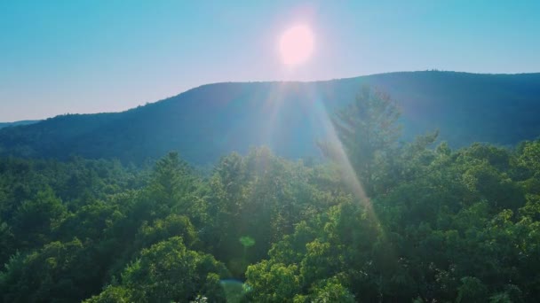Letecké Záběry Zametající Borovicové Lesní Vyhlídky Appalačských Horách New Yorku — Stock video