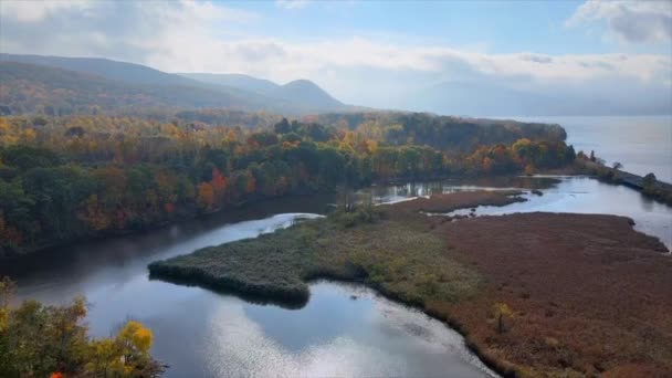 Une Scène Avec Une Rivière Des Voies Ferrées Des Marais — Video