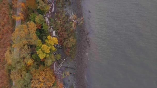 Una Vista Arriba Hacia Abajo Vista Pájaro Río Durante Otoño — Vídeos de Stock