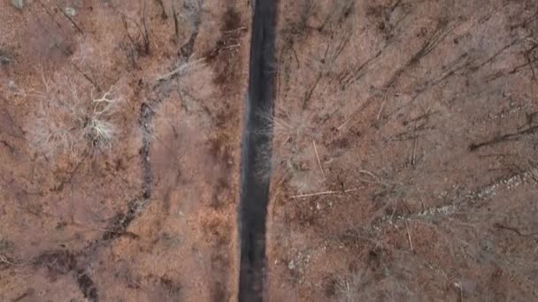 Drsná Dřevařská Cesta Skalnatým Lesem Holým Listnatým Stromovým Baldachýnem Appalačských — Stock video