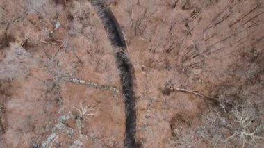 Kışın ya da sonbaharda Appalachian dağlarında, çıplak ve yaprak döken bir ağaç tepe örtüsüyle kayalık bir ormanın içinden geçen engebeli kereste yolu.