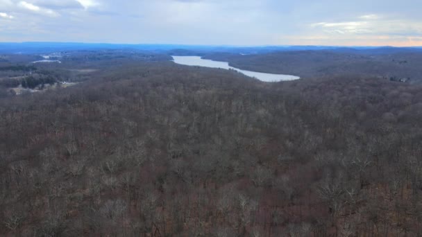 Flygdrönarbilder Vidsträckt Vildmark Med Barbarträdstak Och Sjö Fjärran Vintern Appalacherna — Stockvideo