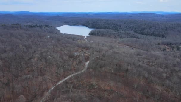 Images Aériennes Drones Vastes Étendues Sauvages Avec Couvert Forestier Lac — Video