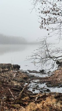 New York Catskill Dağları 'ndaki sisle kaplı bir dağ gölüne akan kayalık bir kıyı şeridi boyunca sığ dere ve dallar. Çıplak ağaçlarla, sessiz renklerle ve sakin, atmosferik havayla sakin bir kış manzarası..