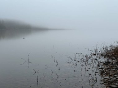 New York 'taki Catskill Dağları' nda kıyı şeridi detaylarıyla durgun bir gölü kaplayan yoğun sis. Yumuşak bir kış sahnesi, sessiz tonlar, yumuşak su, ve sakin, atmosferik vahşi ortam..