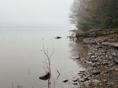 New York 'taki Catskill Dağları' ndaki kayalık bir kıyı şeridi boyunca sisli sakin bir göl ve ağaçların yansımaları. Durgun su, yumuşak ışık ve sakin açık hava atmosferi olan sakin doğal manzara..
