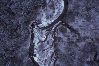 Güzel bir orman manzarası