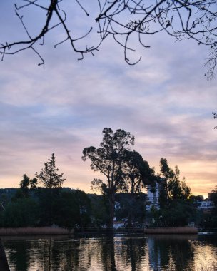 Halka açık bir parkta gölün ortasında büyük bir ağaç. Dağları olan bir kasabanın arka plandaki evlerinde. Ağaçlar ve bitkilerle dolu bir ormanda bulunur. Gökyüzü bulutlarla kaplıydı ve güneşin güzel renkleri vardı..