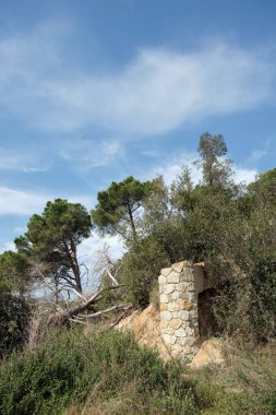 Ormanda bitkiler ve ağaçlarla birlikte mimari taş inşaatı. Bir köyde. Bulutlu güçlü gün ortası ışığı.