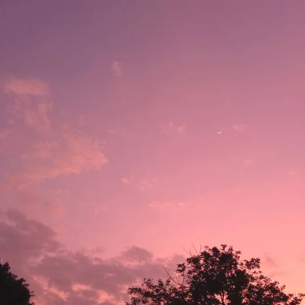 Hermosa Vista Color Púrpura Naranja Cielo Atardeceres Tropicales Con Silueta — Foto de Stock