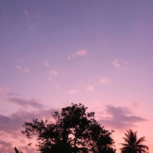 热带夕阳西下美丽的紫色与橙色天空 — 图库照片