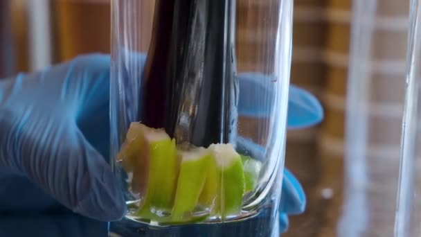 Barman drtí vápno klíny sklo výrobu mojito alkoholický koktejl použití bahno — Stock video