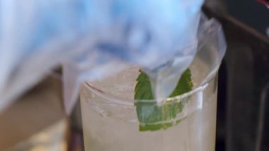 Tek kullanımlık eldivenli barmen bardağa naneli şeker koyar.