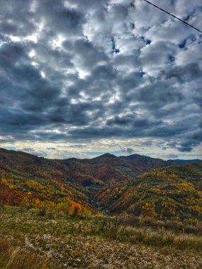 Bulutlu bir günde yeşil, sarı, turuncu ve kırmızı ağaçlı renkli sonbahar ormanı dağı. Muntele Rece, Cluj, Romanya