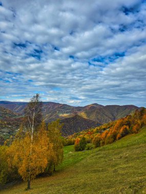 Sonbaharda, renkli orman ağaçları, yeşil çayırlar ve beyaz bulutlu mavi gökyüzü olan dağların güzel manzarası. Muntele Rece, Cluj, Romanya