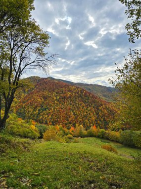 Sonbahar dağ manzarası, renkli ormanlar ve mavi gökyüzünde bulutlar. Muntele Rece, Cluj, Romanya