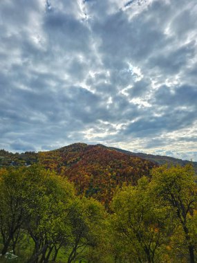 Bulutlu bir günde yeşil, sarı ve kırmızı ağaçlarla dolu renkli orman dağının güzel sonbahar manzarası. Muntele Rece, Cluj, Romanya
