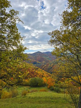 Sonbahar dağ manzarası, renkli ormanlar ve mavi gökyüzünde bulutlar. Muntele Rece, Cluj, Romanya