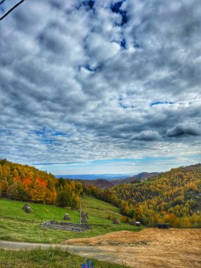 Yeşil, sarı, turuncu ve kırmızı yapraklı çayır ve dağların güzel sonbahar manzarası. Muntele Rece, Cluj, Romanya