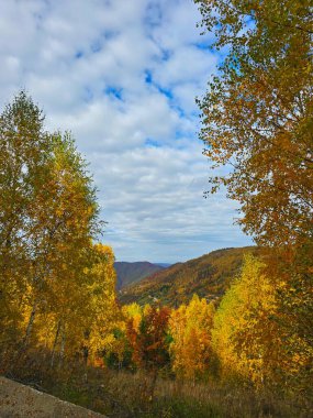 Güzel bir sonbahar gününde mavi gökyüzünde beyaz bulutlar olan yeşil, sarı, turuncu ve kırmızı yapraklı ağaçlar ve dağlarla dolu renkli bir ormanın üzerinde güzel bir sonbahar manzarası. Muntele Rece, Cluj, Romanya