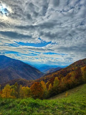 Güzel bir sonbahar manzarası var dağların üzerindeki yeşil otlaktan, sarı, turuncu ve kırmızı yapraklı ağaç ormanıyla güzel bir sonbahar günü mavi gökyüzünde beyaz bulutlarla. Muntele Rece, Cluj, Romanya