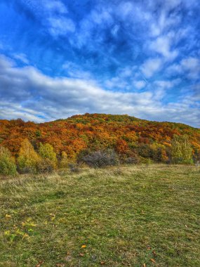 Yeşil otlaklı güzel sonbahar manzarası, yeşil, sarı, turuncu ve kırmızı yapraklı renkli yaprak ormanı ve beyaz bulutlu parlak mavi gökyüzü. Salicea, Cluj, Romanya