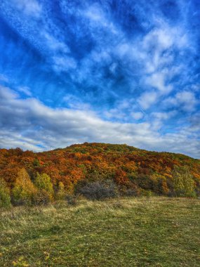 Yeşil otlaklı güzel sonbahar manzarası, yeşil, sarı, turuncu ve kırmızı yapraklı renkli yaprak ormanı ve beyaz bulutlu parlak mavi gökyüzü. Salicea, Cluj, Romanya