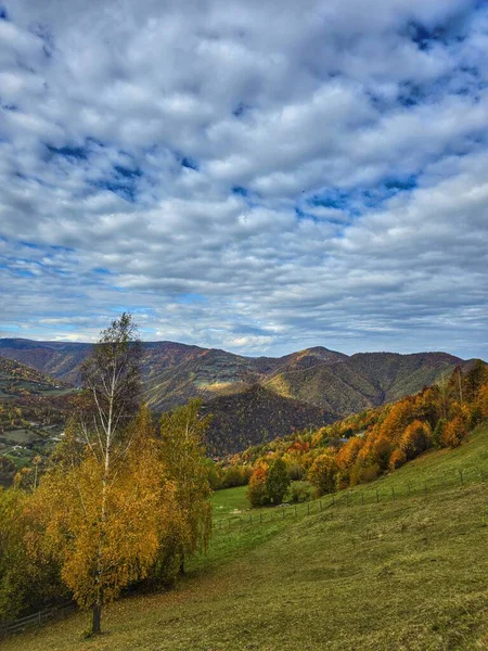 Sonbaharda, renkli orman ağaçları, yeşil çayırlar ve beyaz bulutlu mavi gökyüzü olan dağların güzel manzarası. Muntele Rece, Cluj, Romanya