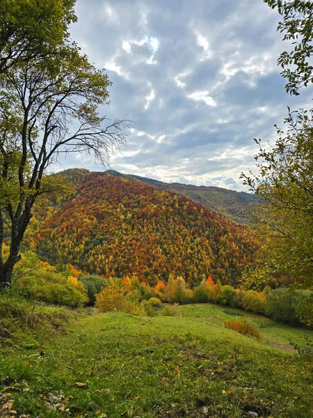Sonbahar dağ manzarası, renkli ormanlar ve mavi gökyüzünde bulutlar. Muntele Rece, Cluj, Romanya